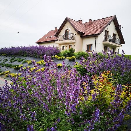 Apartamenty, Zielone Wzgorze Wiktora W Mikolajkach Mikołajki Exterior photo