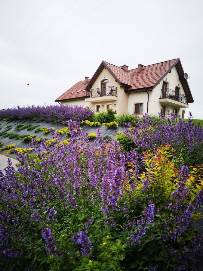 Apartamenty, Zielone Wzgorze Wiktora W Mikolajkach Mikołajki Exterior photo