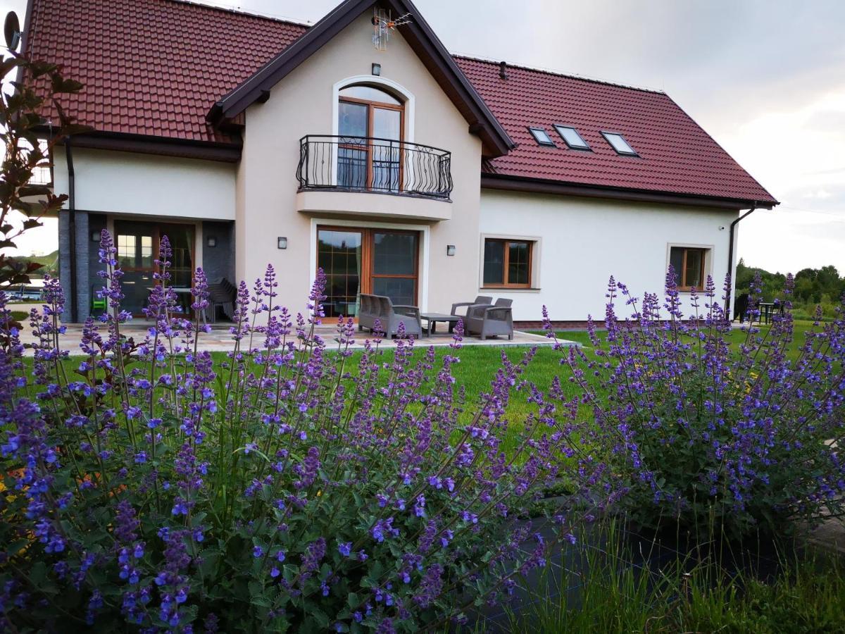 Apartamenty, Zielone Wzgorze Wiktora W Mikolajkach Mikołajki Exterior photo